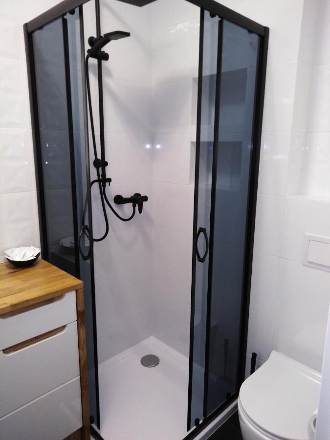 Apartament Joanna Sanok Eksteriør billede